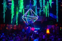 DSC07290